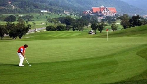 Thảm cỏ nhân tạo xanh mượt mà trên các sân golf 1