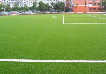 cỏ nhân tạo sân bóng đá