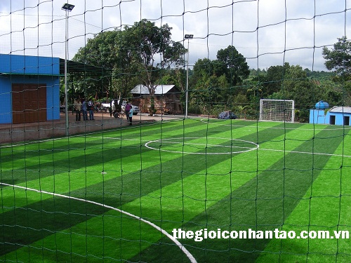 Bóng đá sân cỏ nhân tạo tại Việt Nam  1