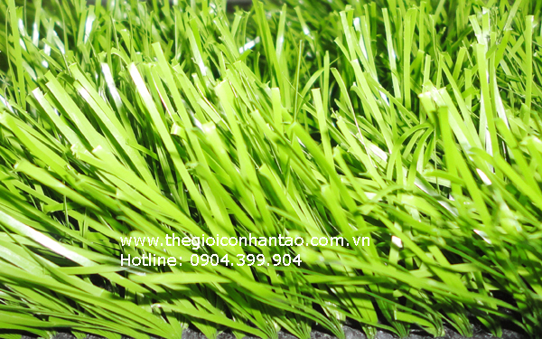 Có bao nhiêu loại cỏ nhân tạo trên thị trường Việt Nam 1