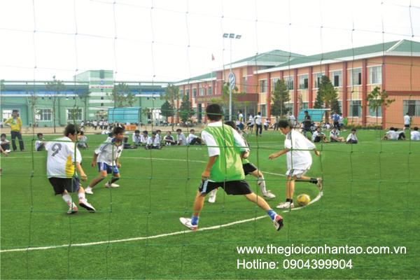 DVN Việt Nam tổ chức giải bóng đá 7 người trên sân cỏ nhân tạo. 6