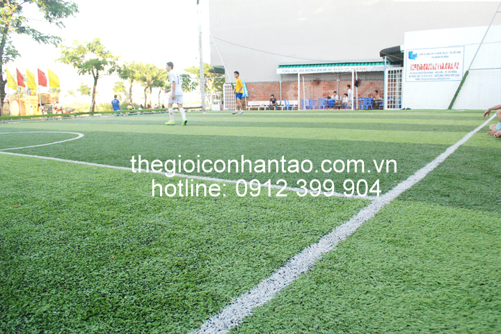 Bảng giá cỏ nhân tạo sân bóng đá DVN