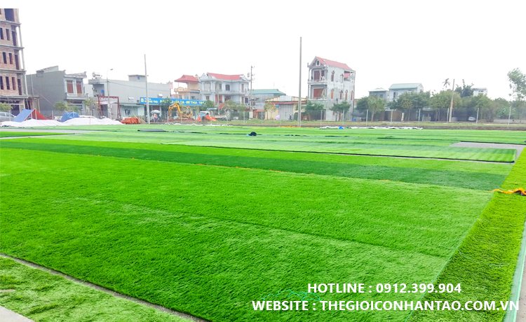 Sân bóng cỏ nhân tạo Nam Định
