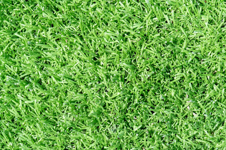 Cách vệ sinh cỏ nhân tạo do hóa chất