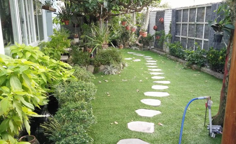 6 cách vệ sinh cỏ nhân tạo sân vườn cực hữu ích mà bạn nên biết 1