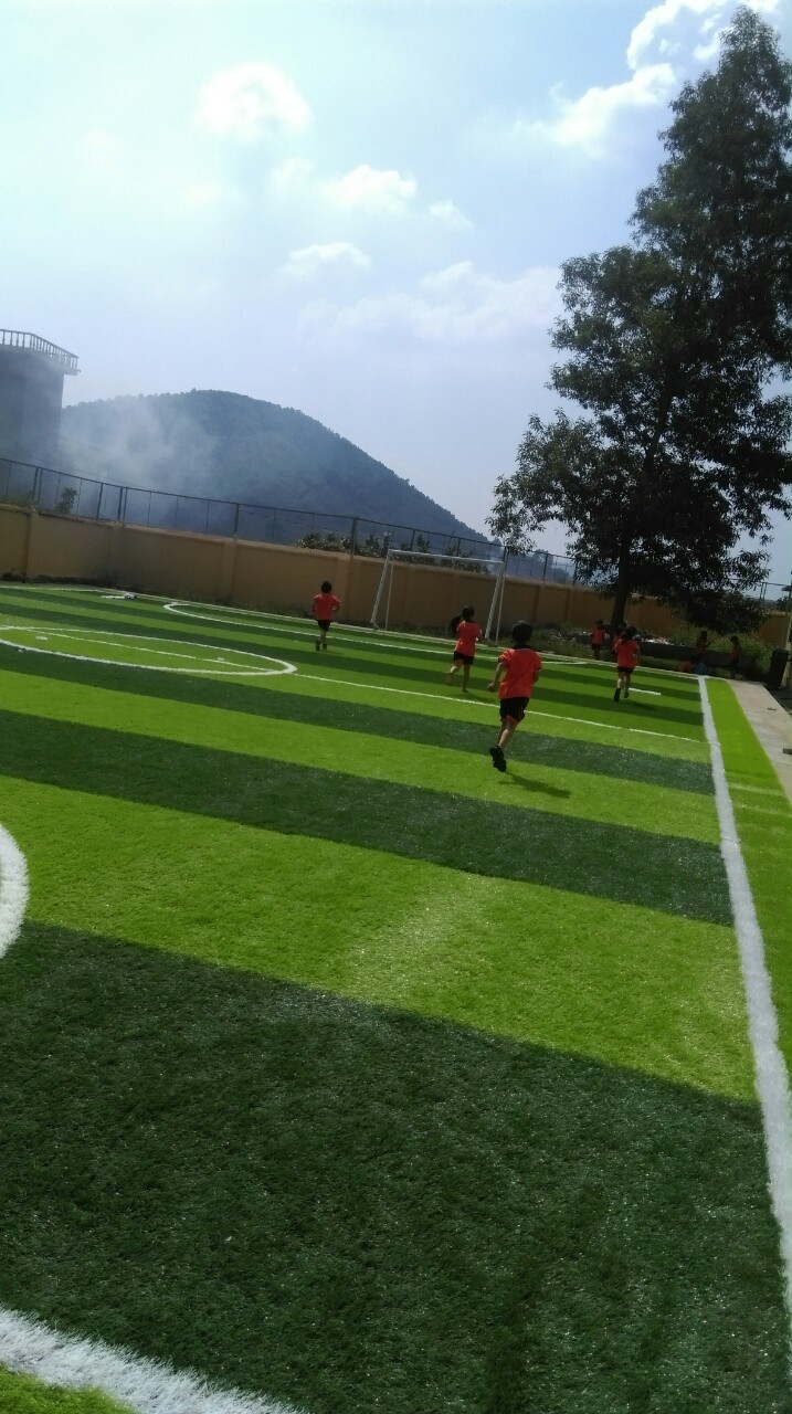 Thi công sân bóng đá cỏ nhân tạo tại Trường tiểu học Phượng Sơn 2 ...