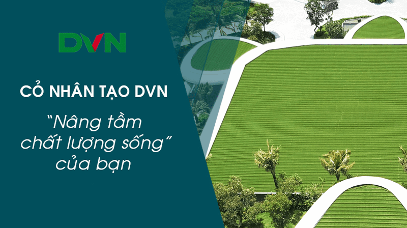 DVN Cỏ nhân tạo số 1 Việt Nam