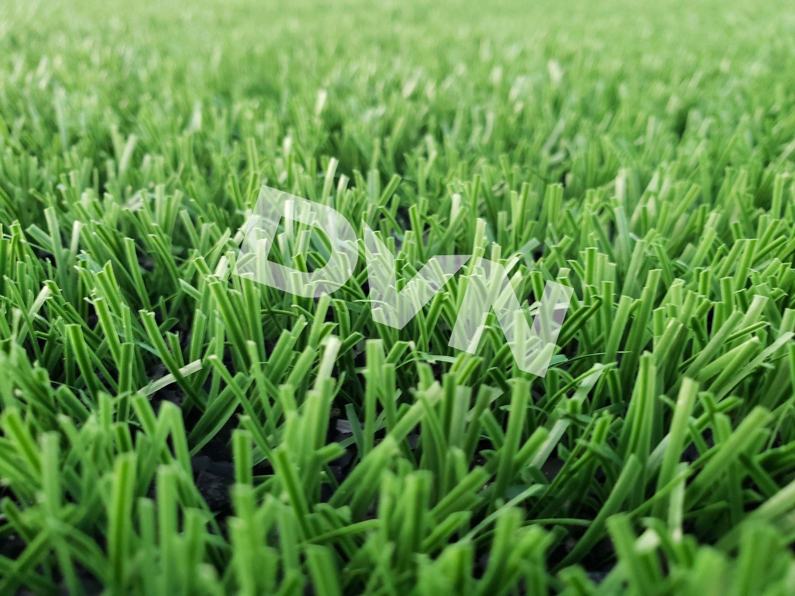 1. Vì sao thiết kế cỏ nhân tạo tại nhà tốt hơn cỏ tự nhiên? 1