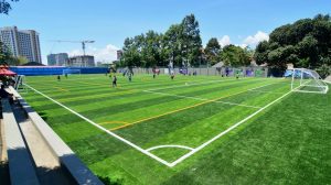Làm thế nào để lựa chọn được cỏ nhân tạo sân bóng chất lượng cao?! 1