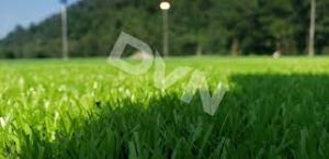 Giá cỏ nhân tạo tại DVN và những ưu đãi hấp dẫn cho khách hàng 5