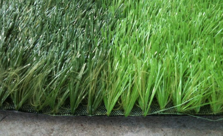 Nên lựa chọn mua cỏ nhân tạo chất lượng Bình Định ở đâu hợp lý? 1