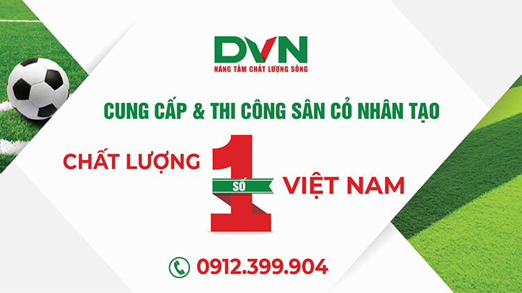 DVN Việt Nam 