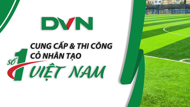 DVN Việt Nam
