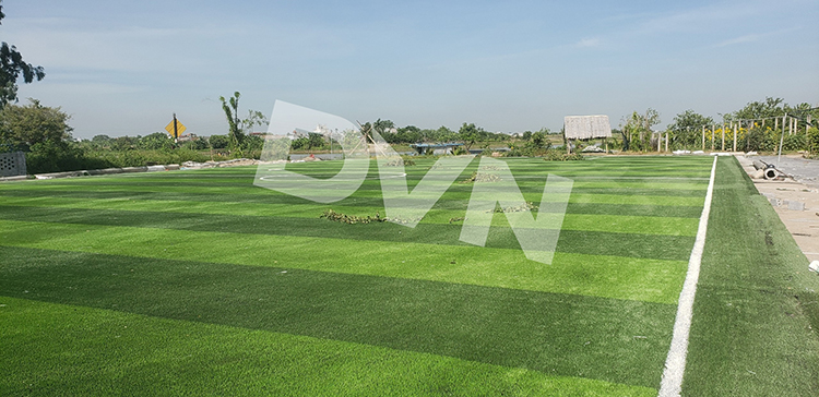 Sân bóng cỏ nhân tạo Nam Định