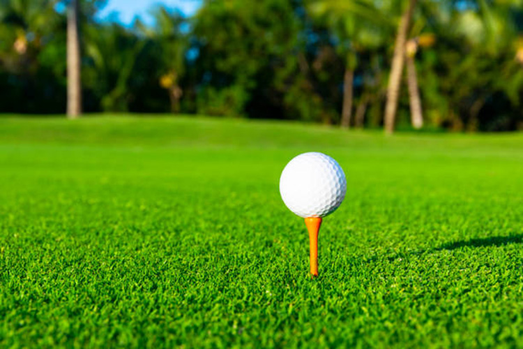Cỏ nhân tạo 12cm dùng trong nhiều trong các sân tập golf 