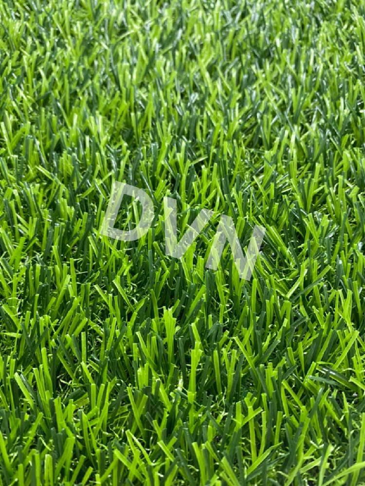Cỏ trang trí sân vườn DVN S14C-30415-XN 1